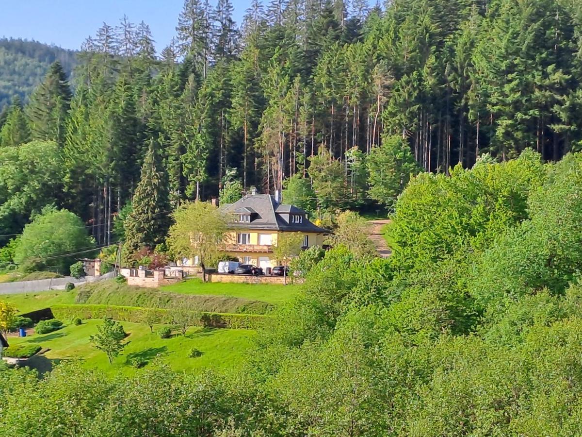 Le Clara Villa Saulxures ภายนอก รูปภาพ